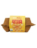 HUEVOS AVINAL ROJOS A CAJA 6 UNIDAD