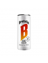 APERITIVO BRETAÑ SELTZER MANGOPIÑA 269 MILILITROS