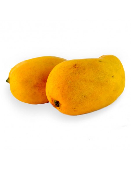 MANGO CRIOLLO x kg