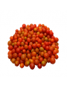 TOMATE PERLA x 250gr