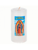 VELON SN JUDAS  4 CORTO