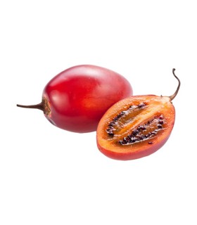 TOMATE DE ARBOL INJERTO KILO