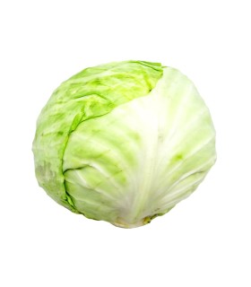 REPOLLO BLANCO KILO