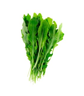 LECHUGA RUGULA BJA x UN