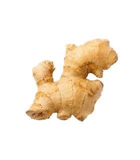 JENGIBRE KILO