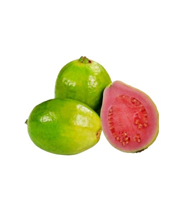GUAYABA PERA KILO