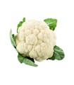 COLIFLOR KILO