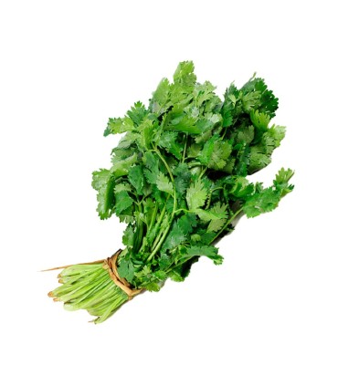 CILANTRO KILO