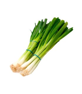 CEBOLLA JUNCA LIMPIA KILO