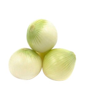 CEBOLLA BLANCA KILO