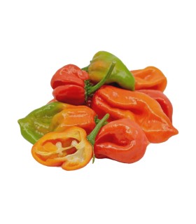 AJI DULCE KILO