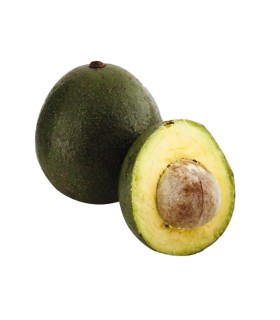 AGUACATE INJERTO KILO