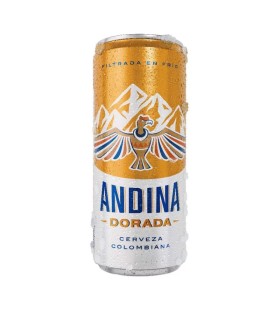 CERVEZA ANDINA LT310 MILILITROS
