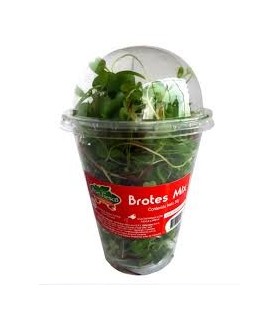 BROTES MIX HORTIFRESCO BJ 30GRAMOS