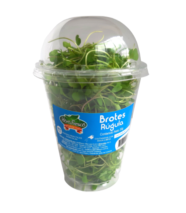 BROTES RUGULA HORTIFRESCO BJ 30GRAMOS