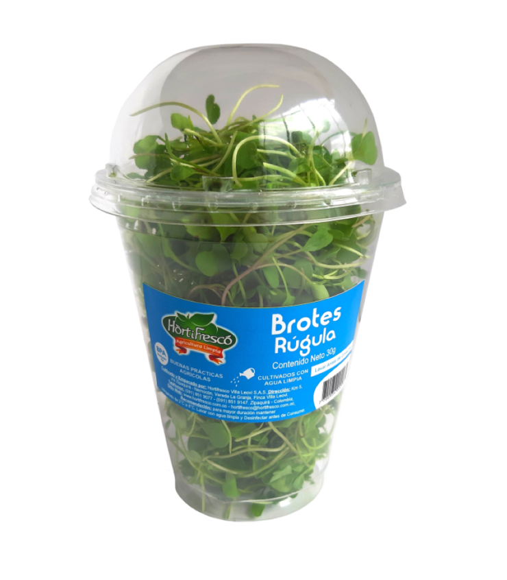BROTES RUGULA HORTIFRESCO BJ 30GRAMOS