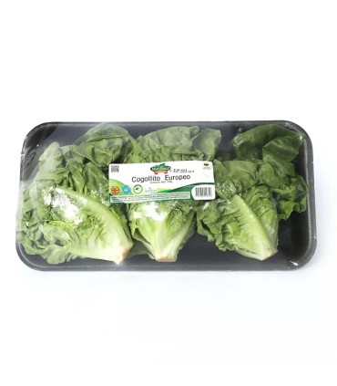 COGOLLITO EUROPEO HORTIFRESCO BJ 250GRAMOS