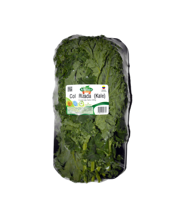 COL RIZADA HORTIFRESCO BJ 300GRAMOS