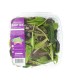 ENSALADA BABY MIX HORTIFRESCO PET150GR