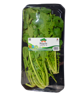 LECHUGA RUGULA HORTIFRESCO BJ 150GRAMOS