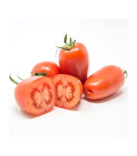 TOMATE SAN MARZANO KILO