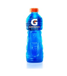GATORADE BLUE ICE PET500 MILILITROS