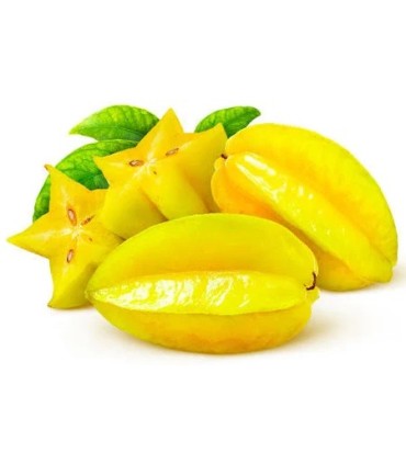 CARAMBOLO PAQUETE500GR