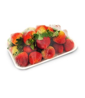 FRESA BANDEJAx500GR