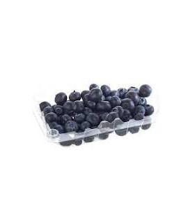 ARANDANOS ESTUCHEx120GR