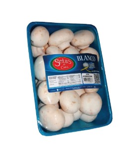 CHAMPIÑON SETAS ENTERO BJ500GR