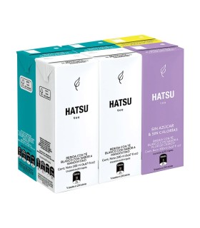 TE HATSU SURTIDO SIXPACK TETRABRIK200 MILILITRO