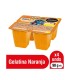 GELATINA FORTIKIDS NARANJA VS90 GRAMOSx4UND