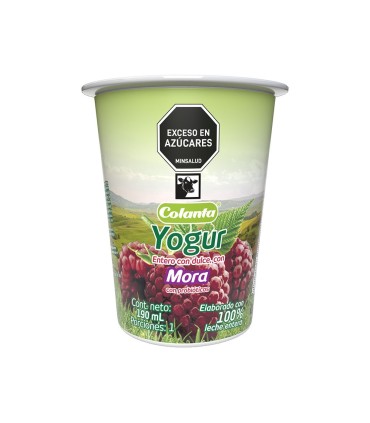 YOGURT CON MORA COLANTA X 200GR