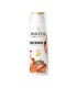 SHAMPO PANTENE BIOTINA B3 TARRO X 300 ML