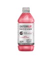 HIDRATANTE GATORLIT FRESA X 620ML