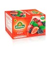 INFUSION HINDU FRUTOS ROJOS X 20U