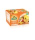 INFUSION HINDU FRUTAS TROPICALES X 20U