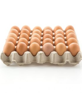 HUEVOS AVINAL ROJOS AAA X 30UDS