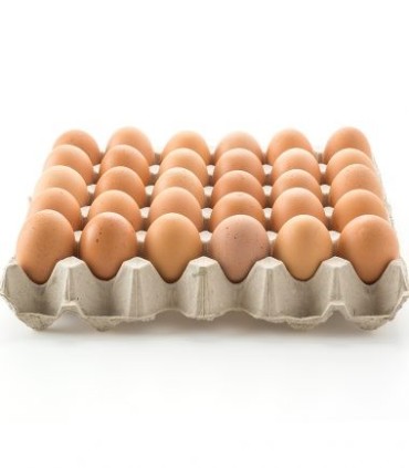 HUEVOS AVINAL ROJOS AAA X 30UDS