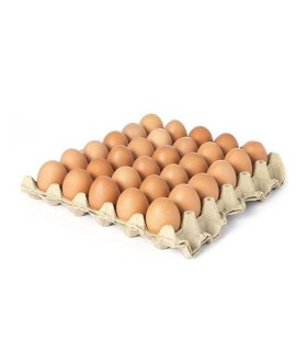 HUEVOS AVINAL ROJOS A X 30UDS