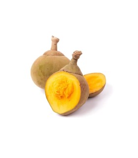ZAPOTE KILO