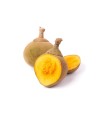 ZAPOTE KILO