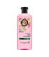 SHAMPO HERBAL ESSENSE ROSA MOSQUETA X 240ML