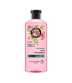 SHAMPO HERBAL ESSENSE ROSA MOSQUETA X 240ML