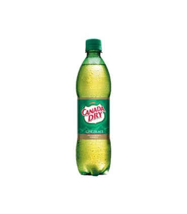 GASEOSA CANADA DRY GINGER X 400ML