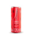 APERITIVO JP CHENET FIZZY ROUGE LATA X 250ML