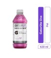 HIDRATANTE GATORLIT UVA X 620ML