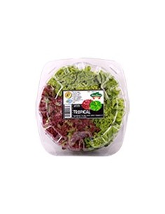 LECHUGA TROPICAL PETxUN