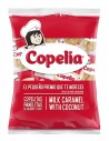 PANELITAS AREQ/COCO COPELITAS BL360GR