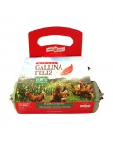 HUEVOS GALLINA FELIZ AAA ROJO CAJA x18 UNIDAD